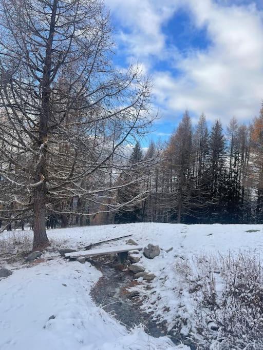Confort Et Espace Pour Cet Appartement Duplex De 100 M2 Avec Grand Sejour Expose Sud Avec Cheminee, 4 Chambres , Acces Direct Aux Pistes De Ski Et Au Golf Dans La Residence Edenarc Avec Piscine, Jacuzzi Et Spa 부르생모리스 외부 사진
